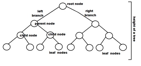 Binary Tree Java Programmer